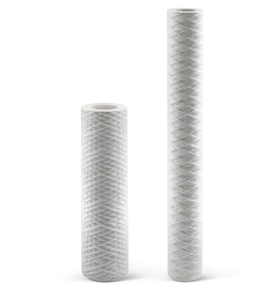 El cartutx de filtre de ferides PP emmarcat en acer inoxidable